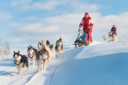 Hundeschlittentour in Schwedisch Lappland