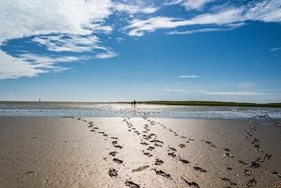 Das Wattenmeer, einmaliger Lebensraum und Kulisse für Firmenevents in Ruhe und Abgeschiedenheit