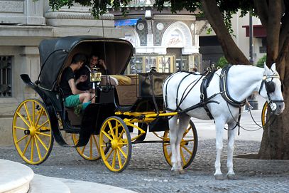Typische Pferdekutsche in Sevilla
